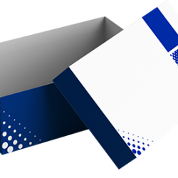 INDUSTRIAL-CABECERA-CATEGORIA