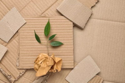Packaging sostenible